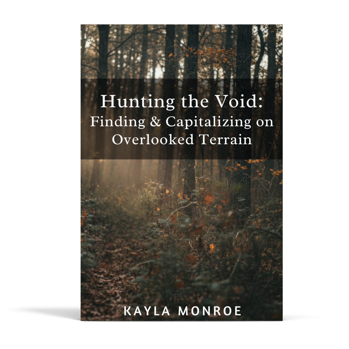 Hunting the Void: Finding & Capitalizing on Overlooked Terrain (eBook)